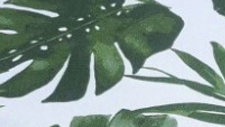 Vert jungle