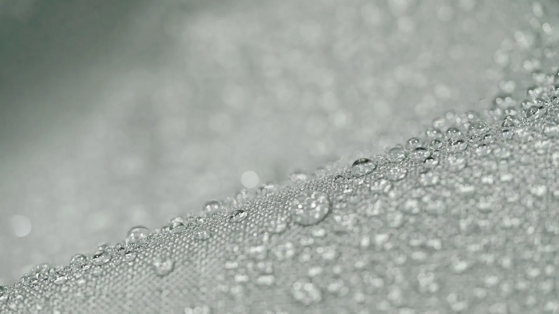 Anissea L Housse de protection