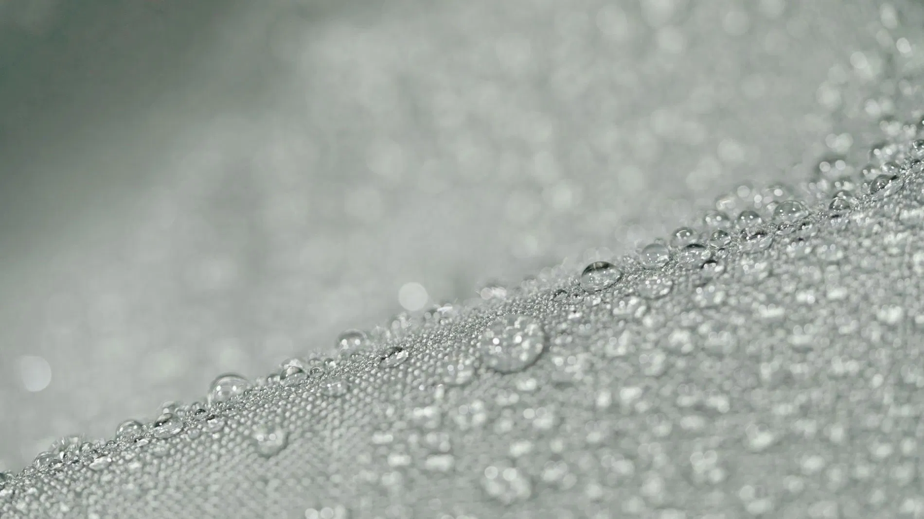 Anissea L Housse de protection