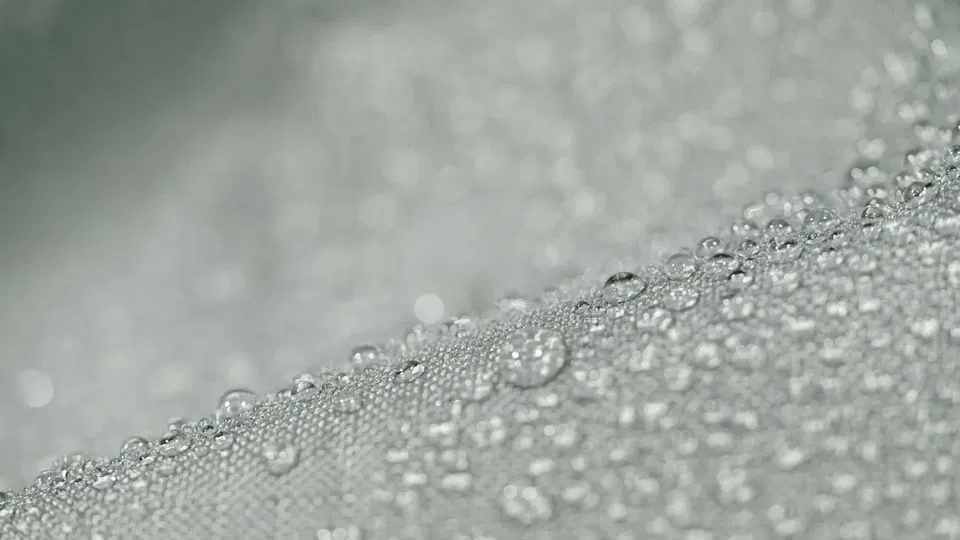 Anissea L Housse de protection