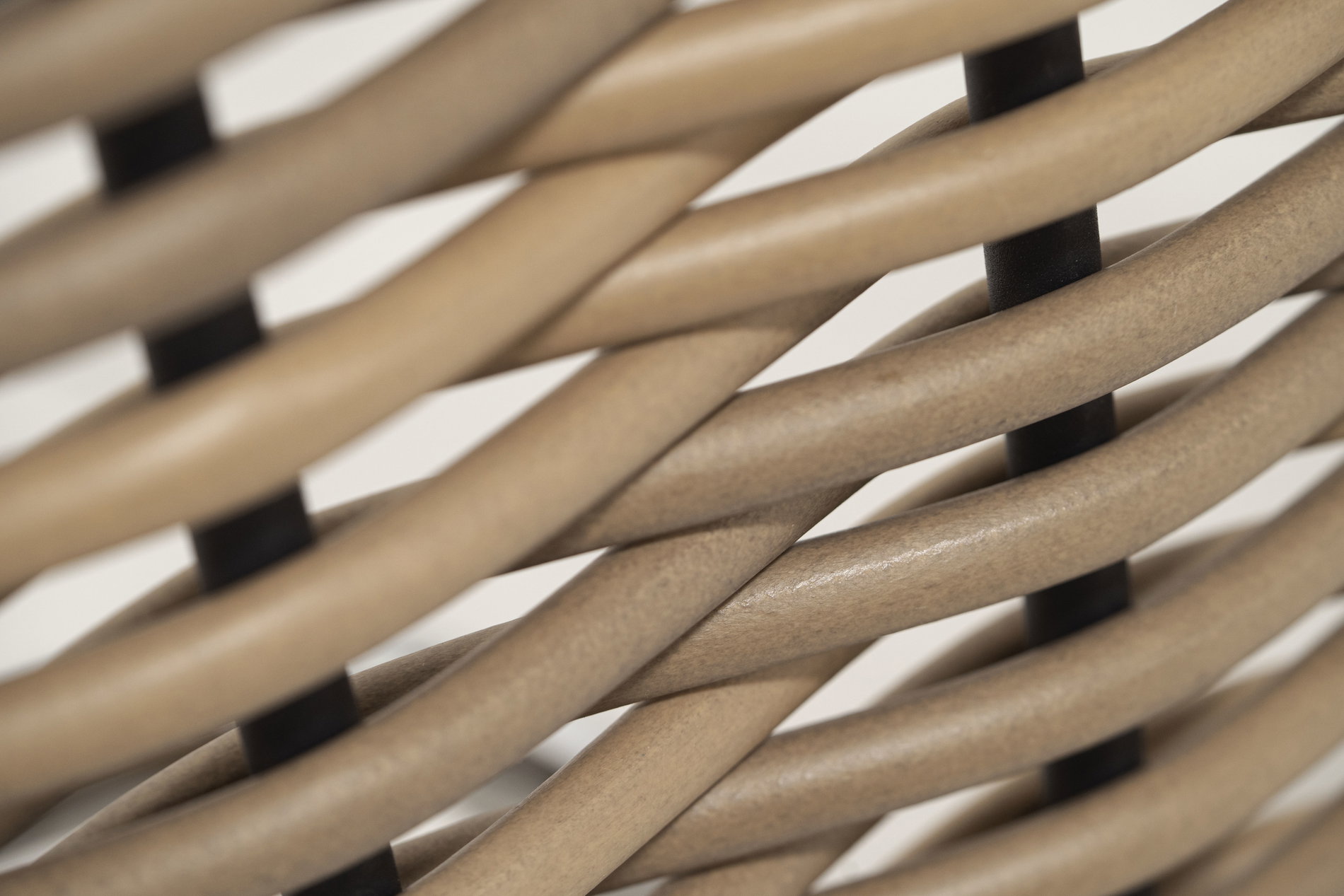 Nature Ambiance